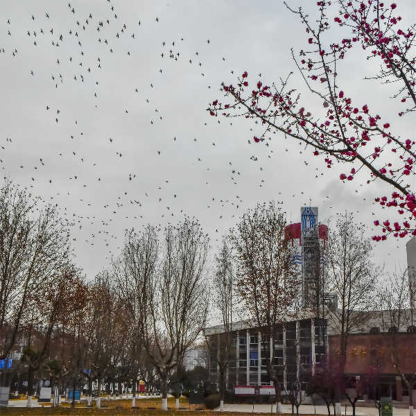 1665283475736854.png 一等獎 生態(tài)化工1 徐暉 13892559729(1).png